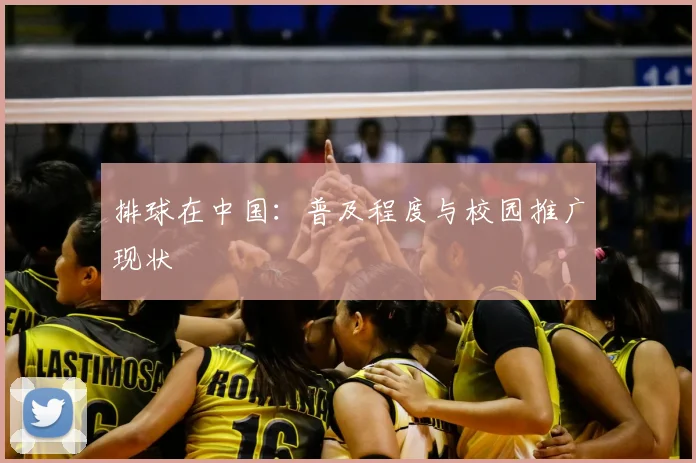 排球在中国：普及程度与校园推广现状