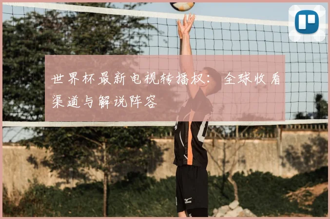 世界杯最新电视转播权：全球收看渠道与解说阵容